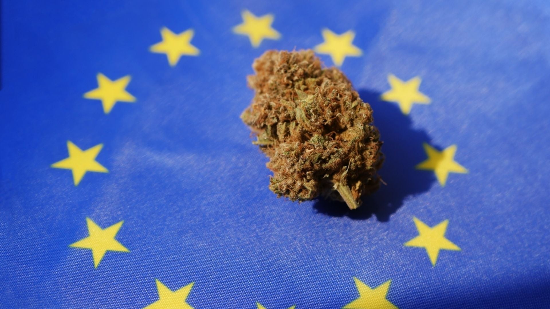 Les Nouvelles Molécules 2026 - PHANTOM